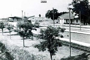 Tabia 04
